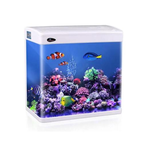 Rectangular small acrylic table fish tank for sale
