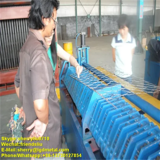 galvanized hexagonal gabion boxes / gabion mesh / gabion price-----GBSL026