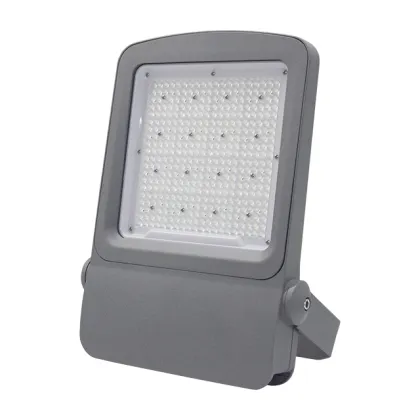 CHZ Original Factory Outdoor IP66 Waterproof LED Floodlight with 5 Years Warranty and Bestar Price