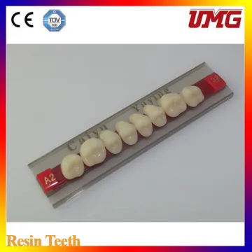 Dental Synthetic Polymer Teeth Resin Teeth