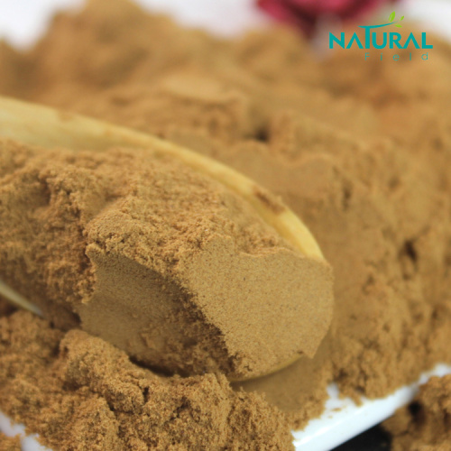 Healthcare Antioxidant Raw Material buy factory dried ginger extract powder Supplier