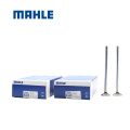 /msite/products/detail/productid/65089108/id/1523638.html