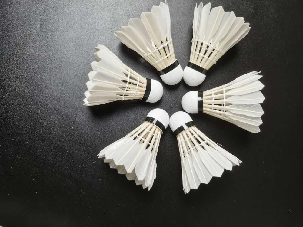 Professional Duck Badminton Shuttlecock For Training