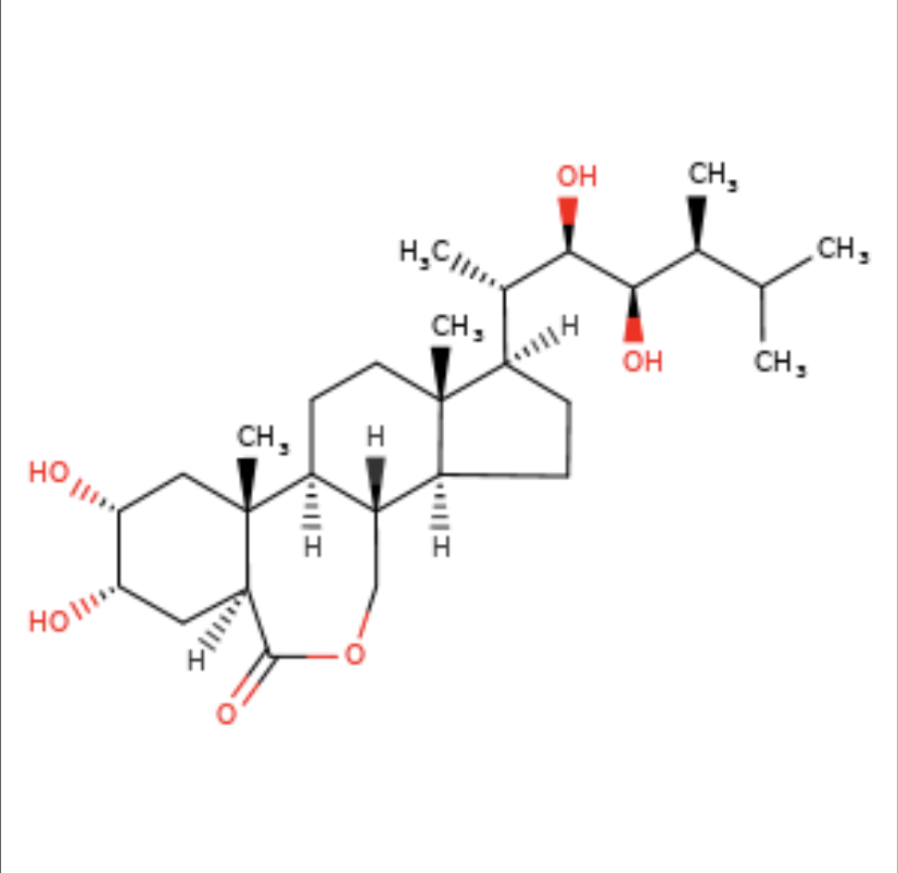 Brassinolide for Plant Growth