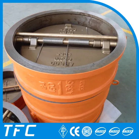 soft seat rubber lined swing check valve