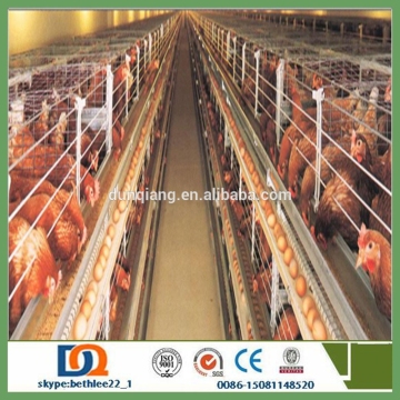 Chicken Cage Wire Mesh/80 dollars stock free sample free courier poultry layer chicken cage for sale