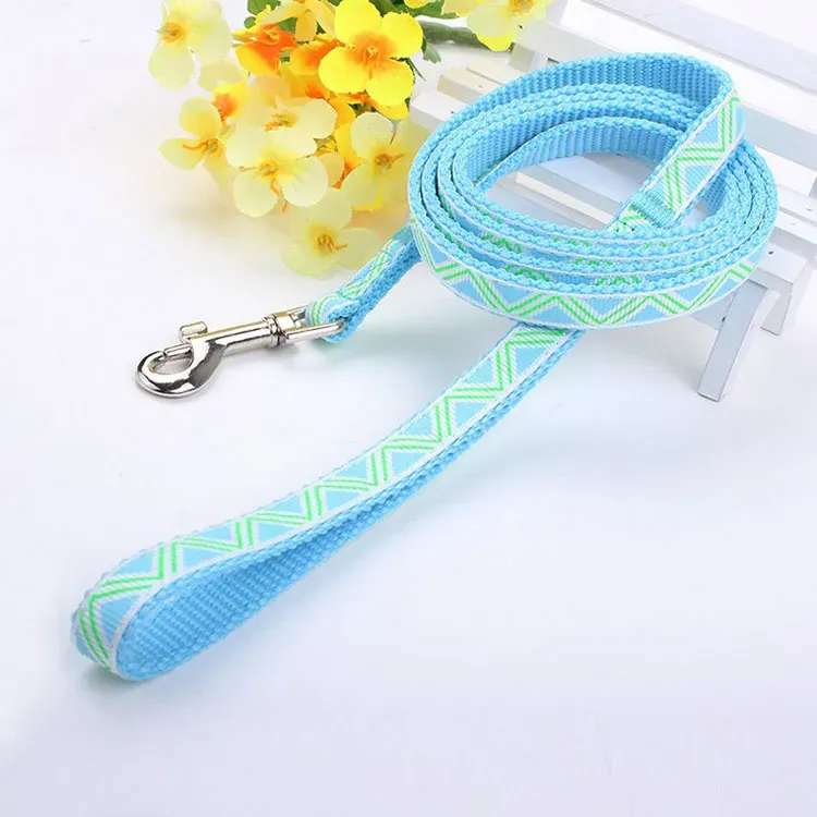Adjustable Pet Training Collar and Leash Set