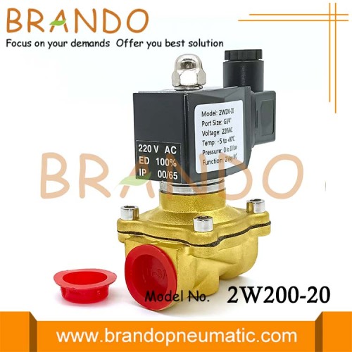 2W200-20 3/4 &#39;&#39;2 웨이 정상 직접 직접 연기 놋쇠 솔레노이드 워터 밸브 12V 24V 110V 220V DC AC