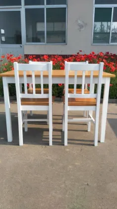 2015 TAYEB solid wood dining table and chairs