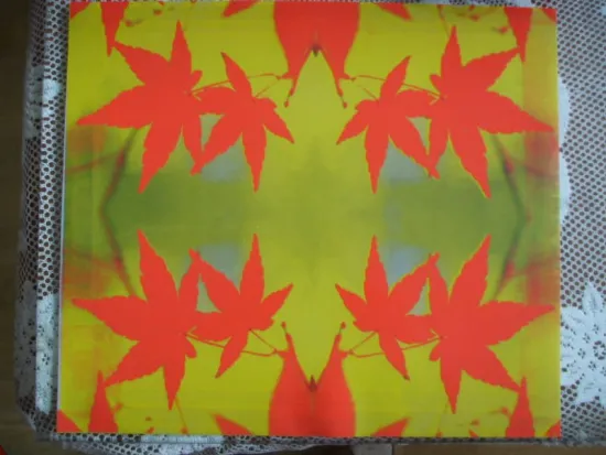 FOOD GRADE SILICONE TABLE MAT AND BAKING MAT