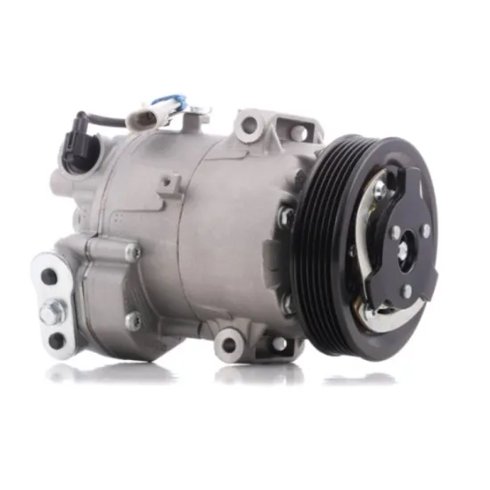 13346489 13250608 1618063 6PK CVC Car AC Compressor for Chevrolet Cruze" could be shortened to:

"6PK CVC Car AC Compressor for Chevrolet Cruze" 

This title highlights the key product details and the car model it fits.