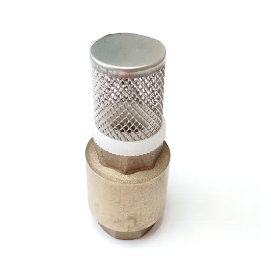 Low Lead Brass Spring Check Valve for USA Market