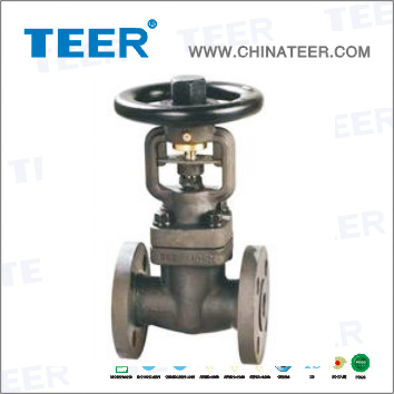 Forged Steel Globe Valve (J41H-900LB)