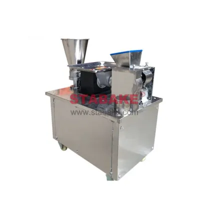 Automatic Dumpling and Wonton Making Machine