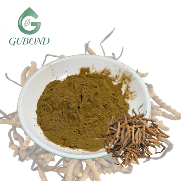 مسحوق كورديسيبين لمكونات المكملات الغذائية