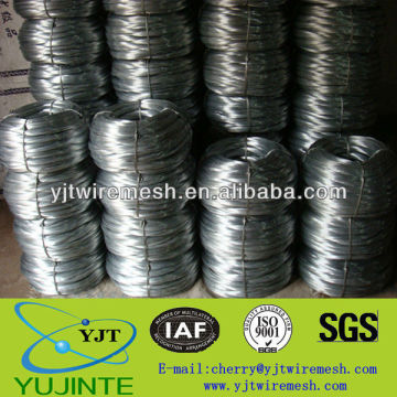 Hot Sales galvanized straight wire/gi binding wire/electro galvanized wire (BV Certification factory)