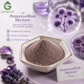 Purpureocellium Lilacinum Powder فطر التحكم البيولوجي