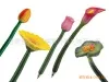 lily pen