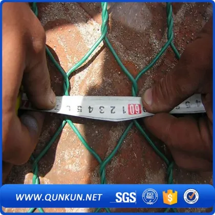 Hexagonal wire mesh in iron wire mesh