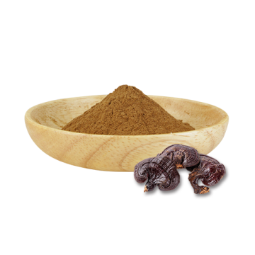 Superfoods OEM Reishi Mushroom Extract capsule powder