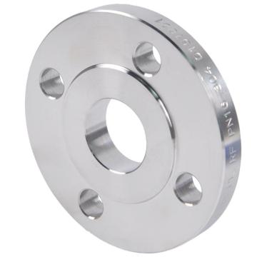 Stainless Steel PL FF RF Petroleum Flange