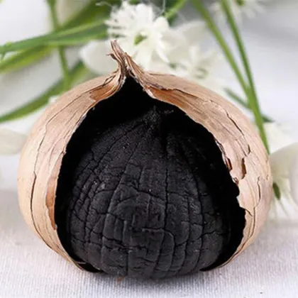 Organic Fermented Single Clove Black Garlic