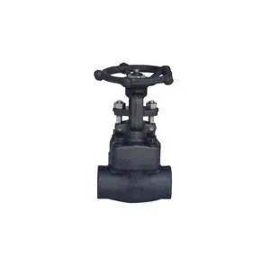 Forged Steel Flanged Globe Valve
