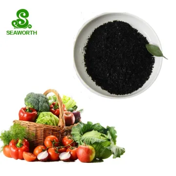 Affordable Natural Ascophyllum Nodosum Seaweed: Your Source for Pure and Cost-Effective Marine Supplements