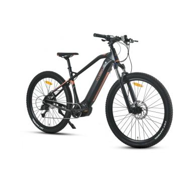 XY-Bolt EMTB-Hardtail-Mountainbike