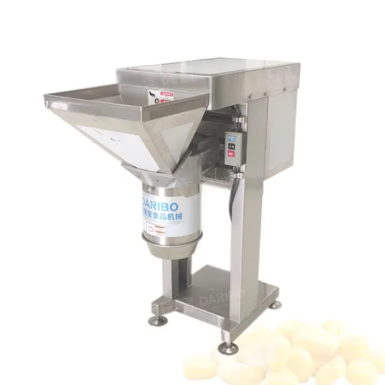 Industrial Fruit and Vegetable Crushing Machine - Ginger Crushing Equipment