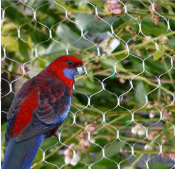 Red de captura de aves anti