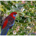 Red de captura de aves anti