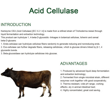 Säurecellulase zur Verbesserung der Verdaulichkeit von Tier