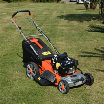 21 "Walk-Behind Lawn Mower CJ21GZ4IN1L196
