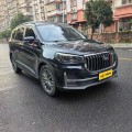 SWM G05 2021 PRO 1.5T オートマチック ラグジュアリー