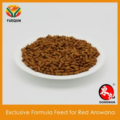 Compound feed for Red Arowana