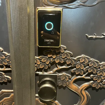 Turkish Safety Steel Aluminum Wooden Exterior Security Armored Door