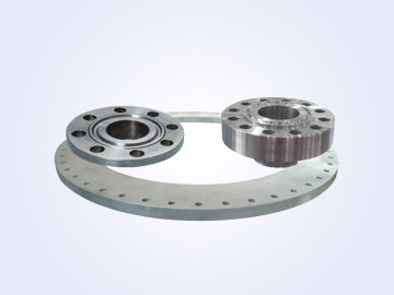 Multi-Type Stainless Steel RF Pipe Flange