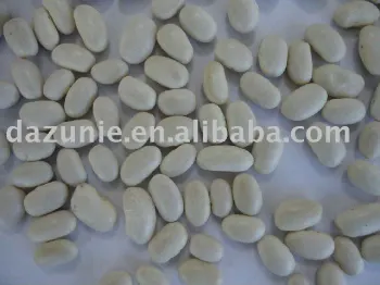 White Kidney Beans