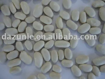 White Kidney Beans