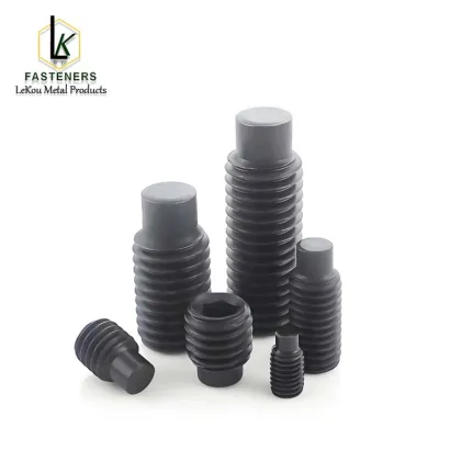 Hexagon socket dog point set screws