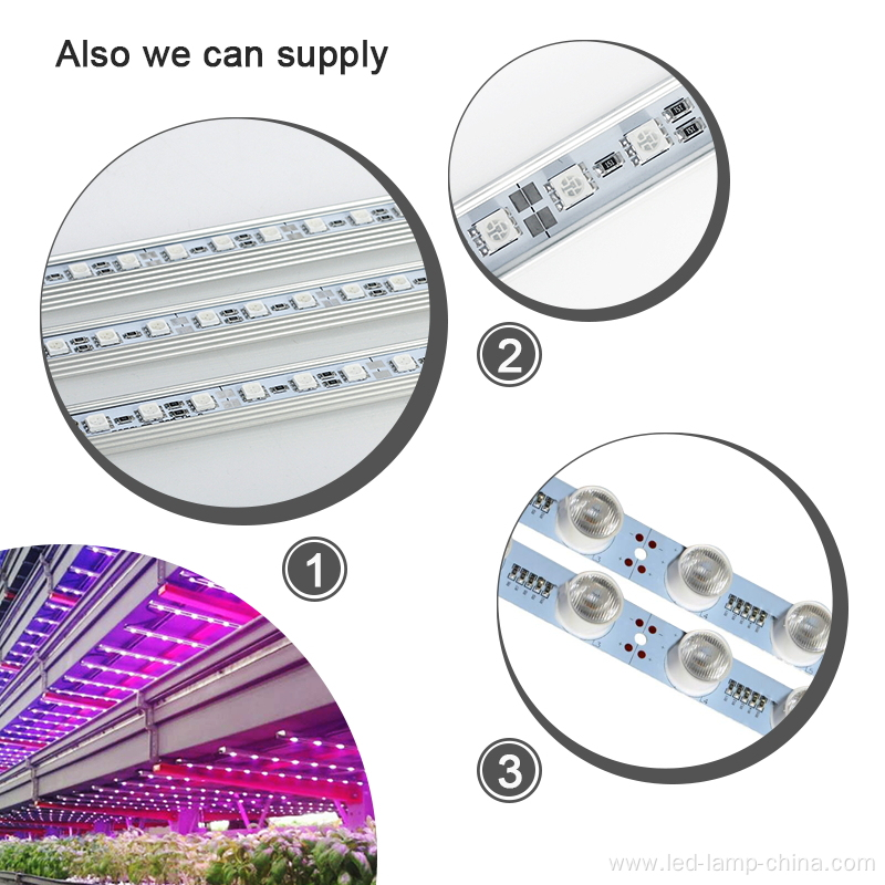 14.4w/meter SMD5050 LED Grow Strip