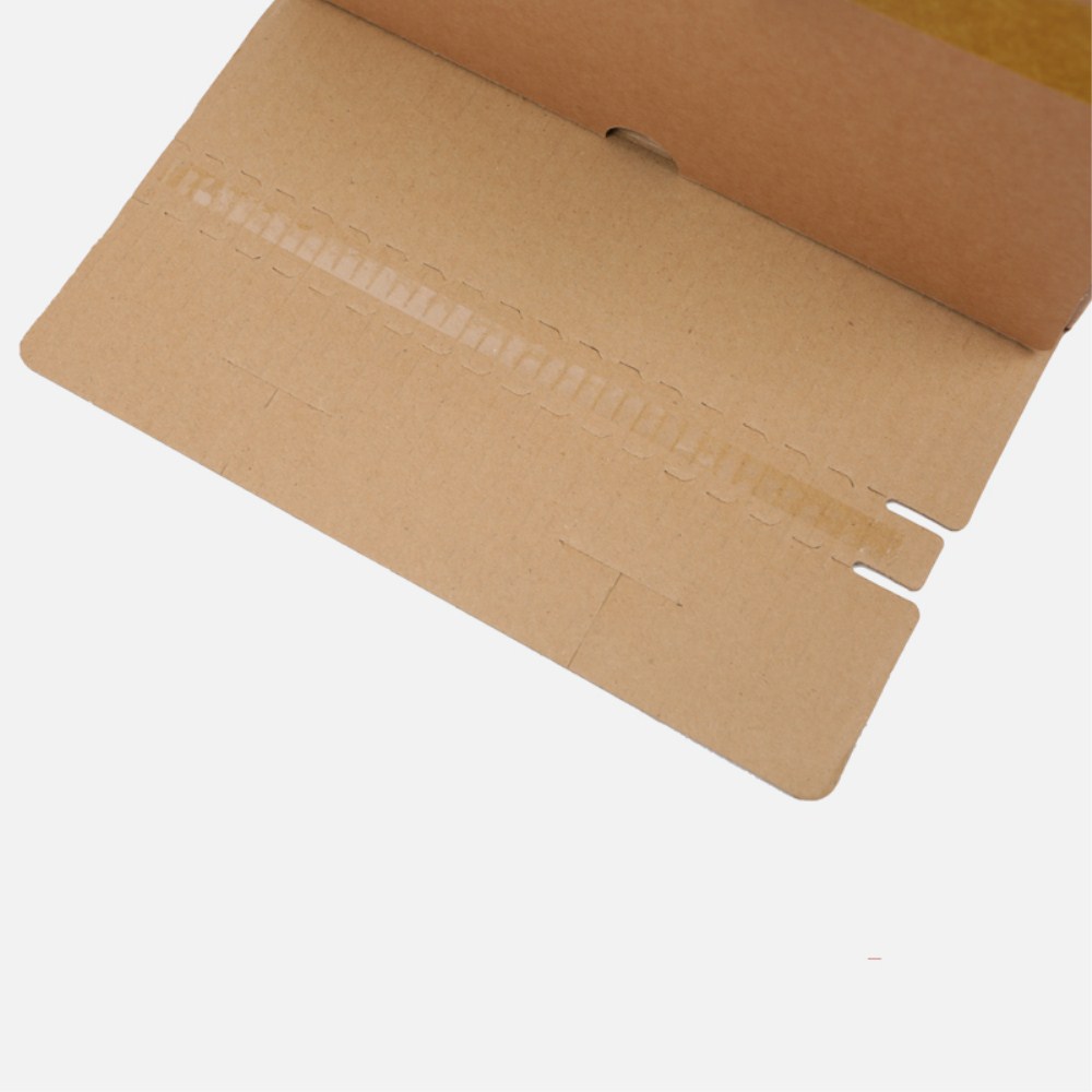 kraft Zipper Carton Boxes