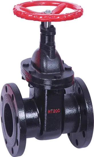 BS Cast Iron Flanged Metal Seated NRS Gate Valve