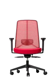 Premium Middle Back Chair with Ergonomic Design