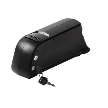 USB 11.6Ah ebike 배터리가있는 48V 돌고래 배터리