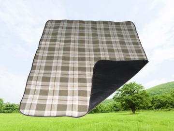 picnic mat