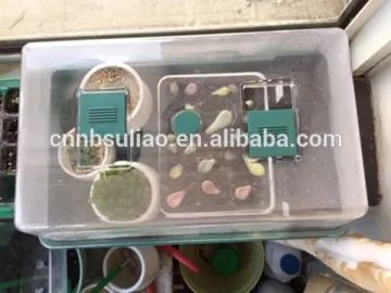 plant propagation seed tray/plant growing trays