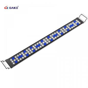 LED LED LED LED LECT BLANC BLUE PISQUE