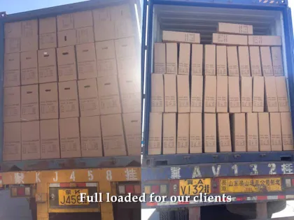 Folding electric e bike